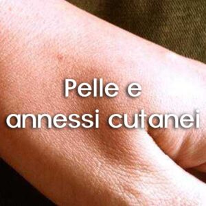 Pelle e annessi cutanei